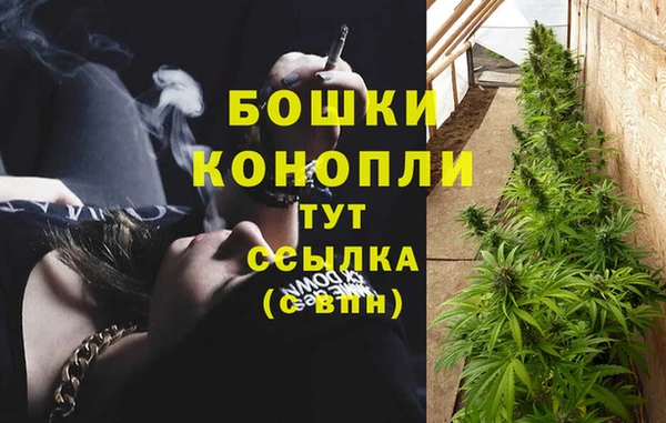 эйфоретик Ладушкин