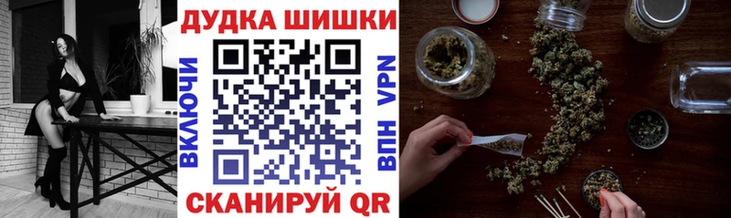 Бошки Шишки SATIVA & INDICA  как найти наркотики  Агрыз 